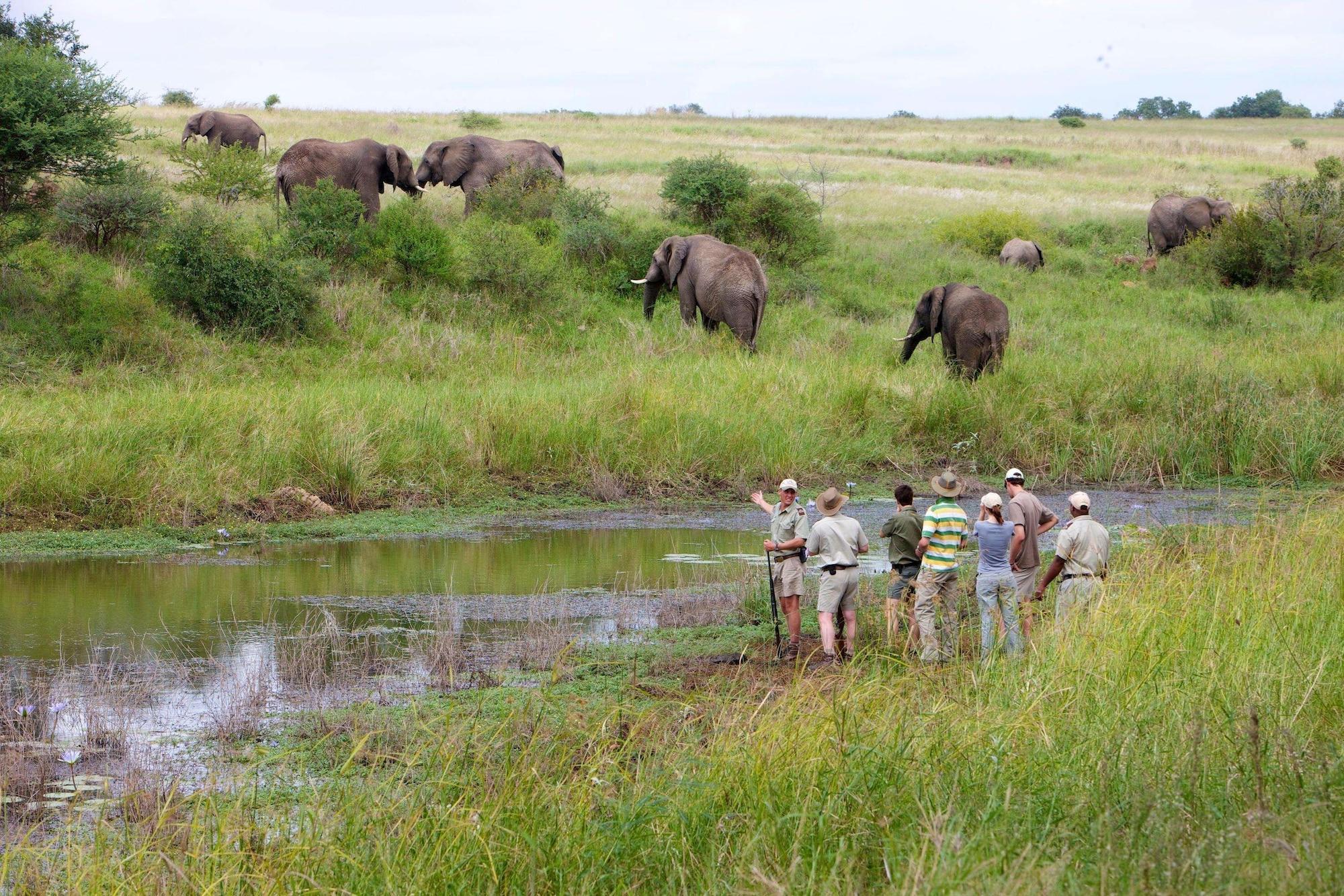 Kapama River Lodge Hoedspruit Buitenkant foto